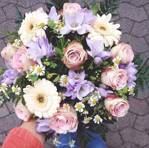   - 18  2015  14:27 - 5