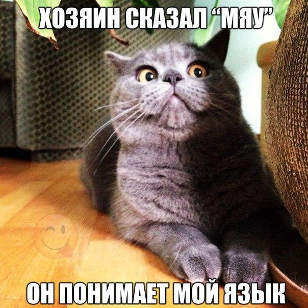 ��������������, ����������� ������. <a href=