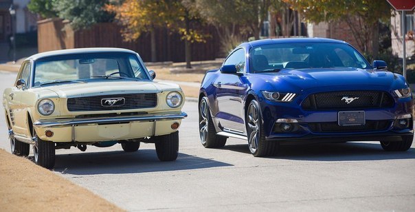 1966 Mustang VS 2015 Mustang - 4