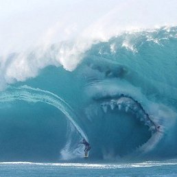 ���� �����, ���, 44 ���� - ��������� 8 ������� 2015