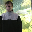 ���� �����, �������, 77 ��� - ��������� 14 ������� 2015 � ������ ���� ����������