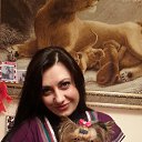 ���� �����, ������ - ��������� 23 ������� 2015