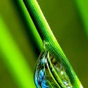 ���� ���, �����������, 78 ��� - ��������� 28 ����� 2015 � ������ ������ ��������