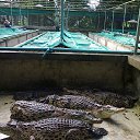 ���� �����, �����������, 62 ���� - ��������� 12 ������� 2015 � ������ ���� ����������