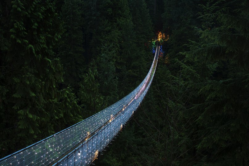     . (Capilano Suspension Bridge)    , ... - 4