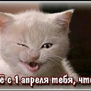 ���� ������, ������, 45 ��� - ��������� 1 ������ 2015 � ������ ������ ��������