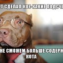 ���� ����������, ��������, 60 ��� - ��������� 8 ����� 2015 � ������ ������ ��������