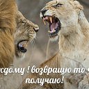 ���� ������, �����-���������, 55 ��� - ��������� 10 ������� 2015 � ������ ���� ����������
