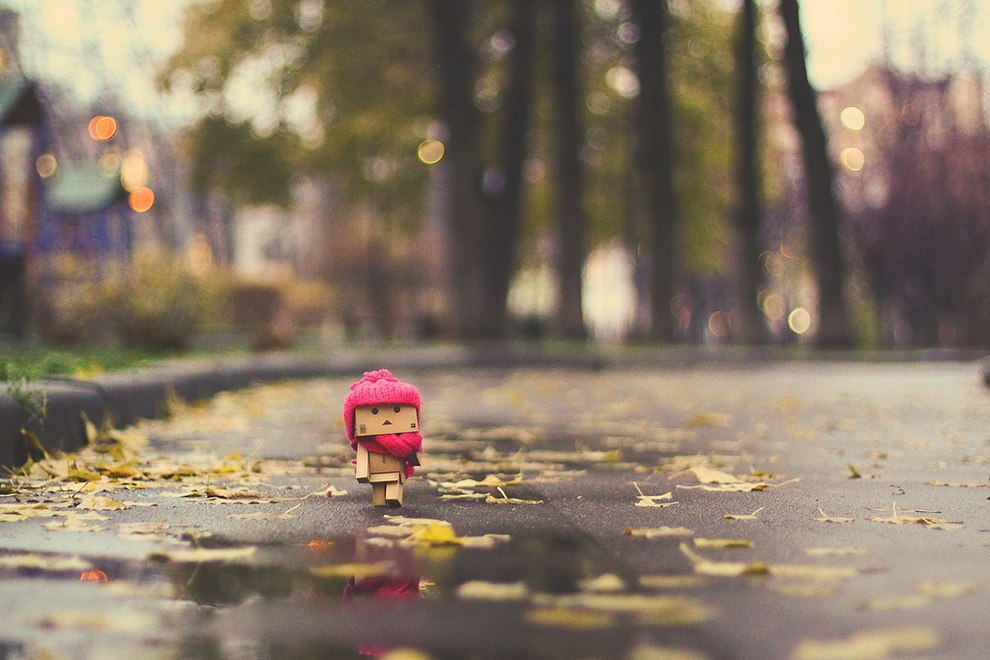    Danbo,       . - 5