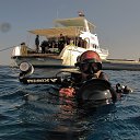 ���� ���������, �����-���������, 55 ��� - ��������� 8 ������ 2015 � ������ ������ ��������