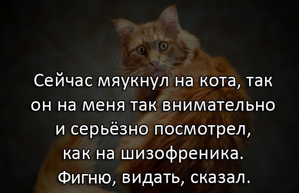       - 23  2015  04:03