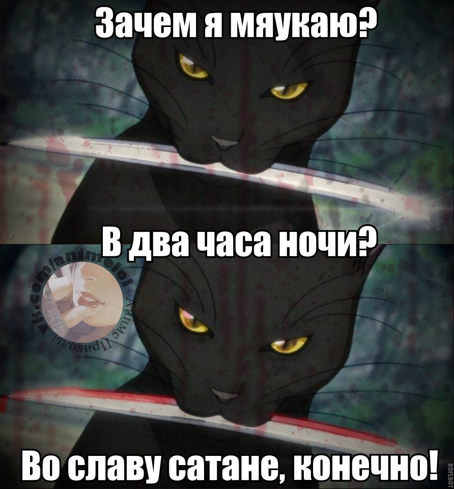 : Bleach