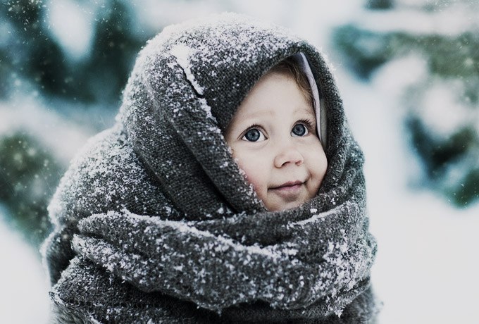 ������ � �������.����������� ������ � �����, ��������� � ����, ������� ������ �� ��� ����� ...