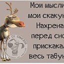 ���� ����, ���������� - ��������� 26 ������ 2015 � ������ ������ ��������