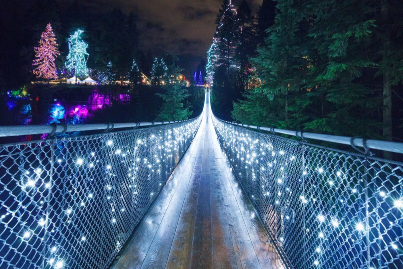     . (Capilano Suspension Bridge)    , ... - 2