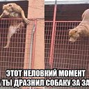 ���� ������, ������-��-����, 46 ��� - ��������� 12 ������ 2015 � ������ ������ ��������