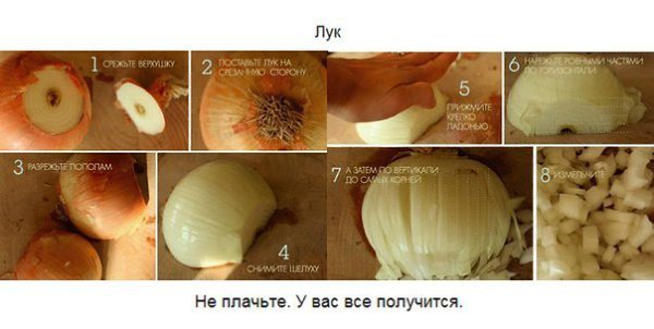 Продукты, которые мы неправильно резали всю свою жизнь.#интересное@cooklove - 6