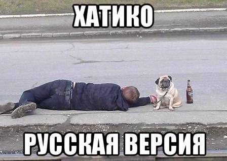 ������� ����� ����� :-) - 20 ������ 2015 � 23:40