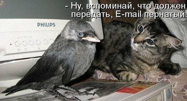  - 25  2014  06:07
