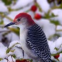 ��� ����.......����� ������� �� ������� ������ ��������