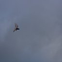 ���� �������, ������, 56 ��� - ��������� 19 ������ 2015 � ������ ���� ����������