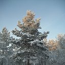 ���� ���� ���������, �������, 76 ��� - ��������� 2 ������� 2015 � ������ ������� ����������