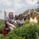 �����, ������ ��������� �� ������� �������������