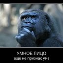 ���� ������, ����, 55 ��� - ��������� 15 ������� 2015 � ������ ������-�����*�