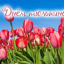 ���� Vera, ������������ - ��������� 7 ����� 2015 � ������ �������� ��������