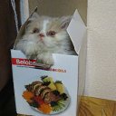 ���� ����, �������, 39 ��� - ��������� 25 ������ 2015 � ������ ������ ��������