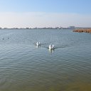 ���� ������, ���������, 42 ���� - ��������� 24 ������ 2015 � ������ �XXX�