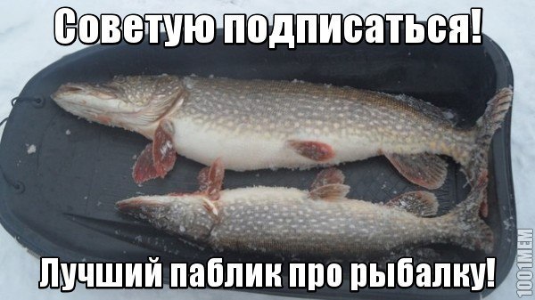  - https://vk.com/vk_fishing.   !