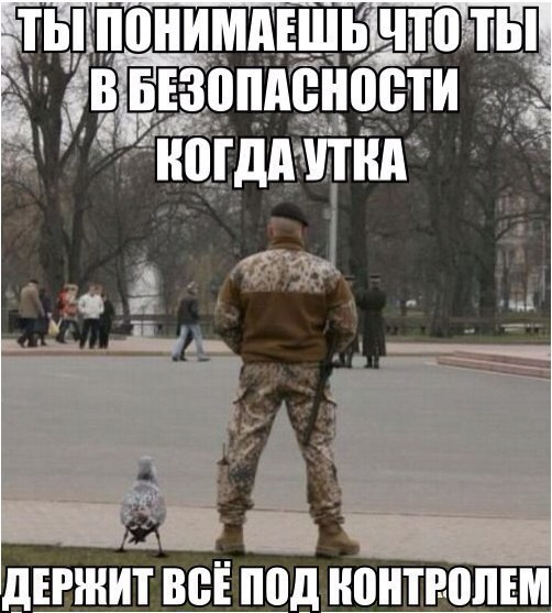 ������������ ���� - 1 ������ 2015 � 14:29