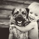 ���� ������, ��������, 59 ��� - ��������� 17 ������ 2015 � ������ ������ ��������