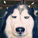 ���� ��������, ������, 33 ���� - ��������� 7 ������� 2015 � ������ �������