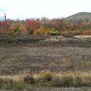 ���� �������, ���������, 39 ��� - ��������� 3 ������� 2015 � ������ ���� ����������