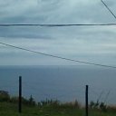 ���� Larisa, �������, 61 ��� - ��������� 22 ������ 2015 � ������ ������ ��������