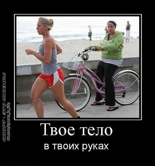 -   - 5  2015  23:08