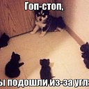 ���� ������, ����������� - ��������� 11 ������� 2015 � ������ ������ ��������