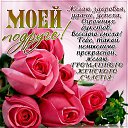 ���� Nikki, ����, 43 ���� - ��������� 23 ������� 2014 � ������ ���� ����������