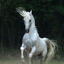 ���� Bulat, ������� - ��������� 16 ������� 2015 � ������ ���� ����������