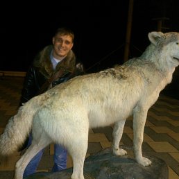 Babkin, 37 , 