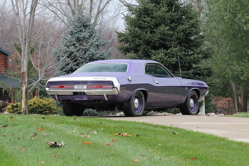 1970 Dodge Challenger R/T - 3