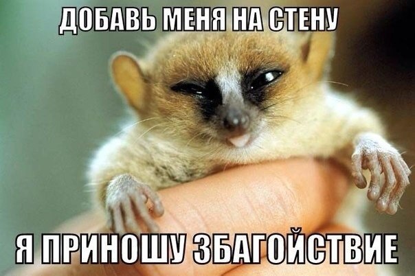    :-) - 13  2015  04:43