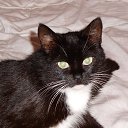 ������ ����� �� ������� ���� ������� � ������ �������ܻ