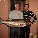 ���� ������, �������������� - ��������� 8 ������ 2015 � ������ ���� ����������