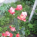 ���� Sandra, ������ - ��������� 14 ������ 2015 � ������ �������
