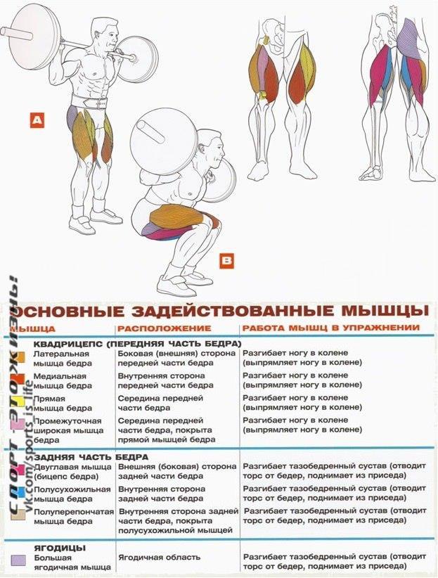 МНОГОПОВТОРНЫЕ ПРИСЕДАНИЯ. Многоповторные приседания - это метод приседания со штангой, который ...