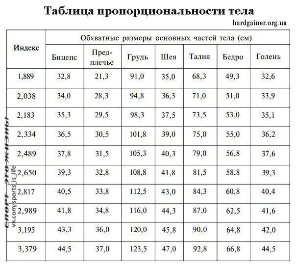 Узнайте, насколько пропорционально ваше тело.Для расчета оптимальных параметров тела существует ...