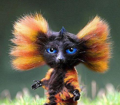  ,  ..   ,  ..  -   ...